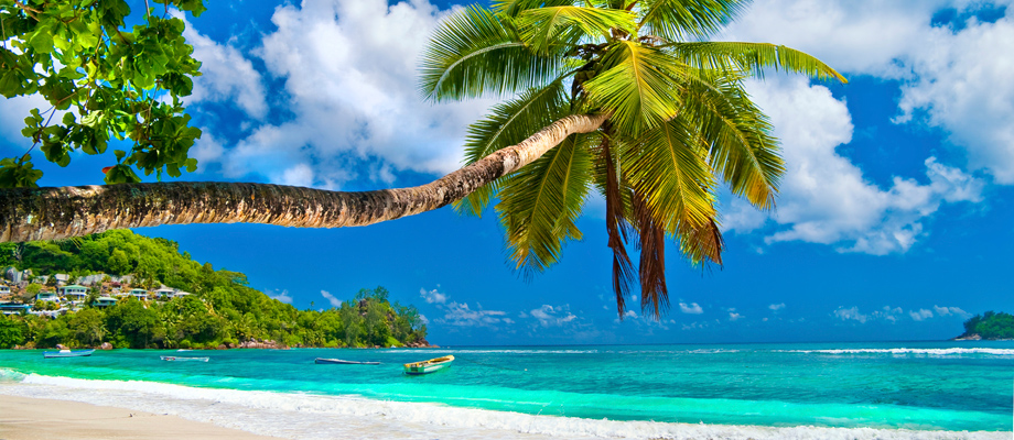 luxury yacht charter beach caribbean bahamas holiday